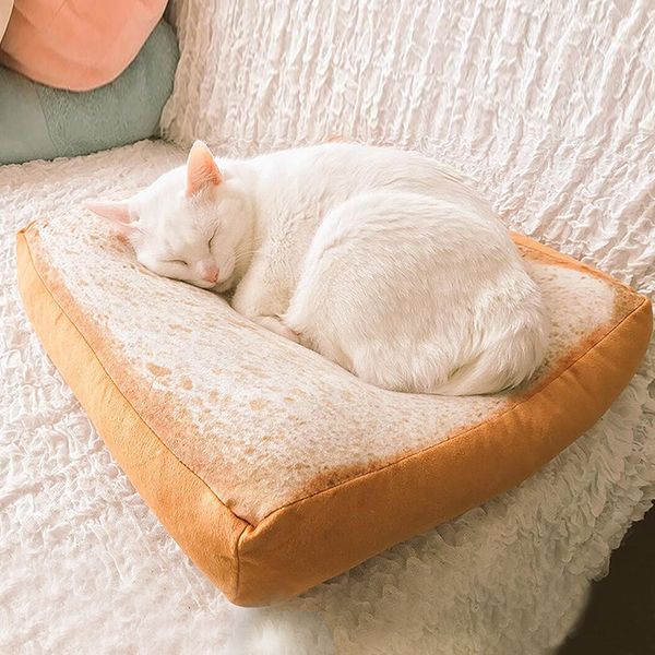 microblogging с cat toast ломтики хлеба подушка сиденья animation вокруг toast pet подушка подушка
microblogging с cat toast ломтики хлеба подушка сиденья animation вокруг toast pet подушка подушка