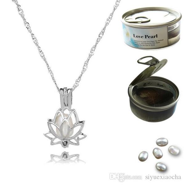 18kgp pearl cage necklace hollow lotus oyster lockets pendant, wish pearl gem beads pendant mountings for diy fashion jewelry, Silver
18kgp pearl cage necklace hollow lotus oyster lockets pendant, wish pearl gem beads pendant mountings for diy fashion jewelry, Silver