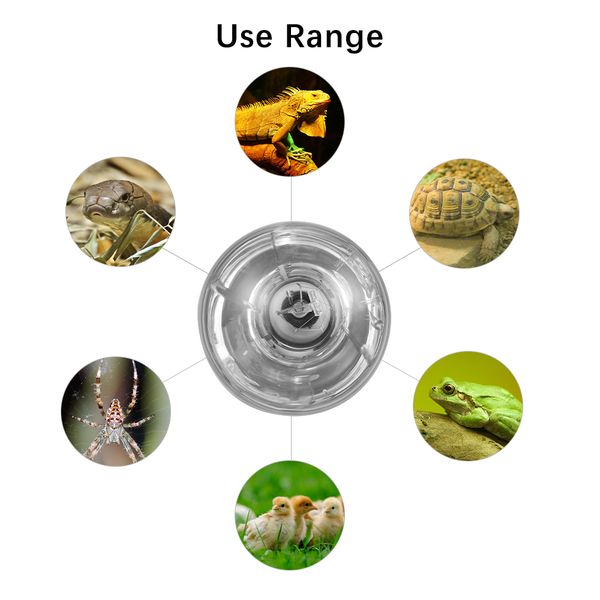 80w/100w pet heating lamp for chickens reptiles amphibians self-rectifying mercury lamp with transparent surface e27 bulb
80w/100w pet heating lamp for chickens reptiles amphibians self-rectifying mercury lamp with transparent surface e27 bulb
