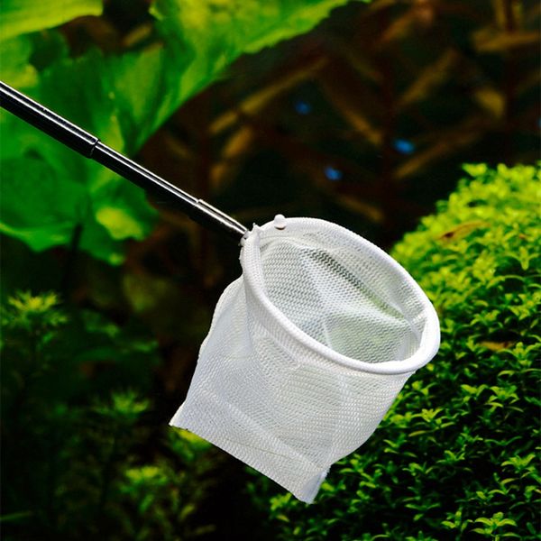 выдвижной 3d aquarium fish tank поймайте net для аквариума fish tank fish поймать аксессуары сеточку длинной ручкой инструмент для очистки
выдвижной 3d aquarium fish tank поймайте net для аквариума fish tank fish поймать аксессуары сеточку длинной ручкой инструмент для очистки