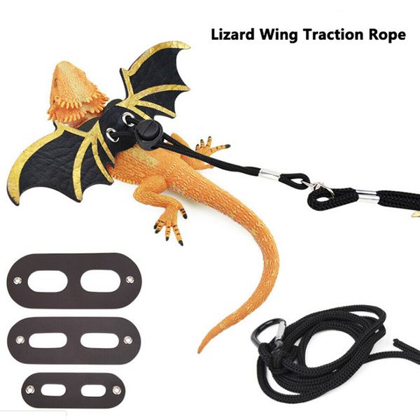 new fashion lizard leash reptile harness adjustable bearded dragon+cool leather wings
new fashion lizard leash reptile harness adjustable bearded dragon+cool leather wings