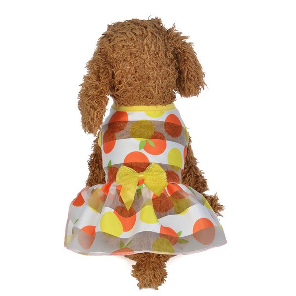 small clothes pet dog cat puppy sleevless floral dress skirt for teddy apparel
small clothes pet dog cat puppy sleevless floral dress skirt for teddy apparel