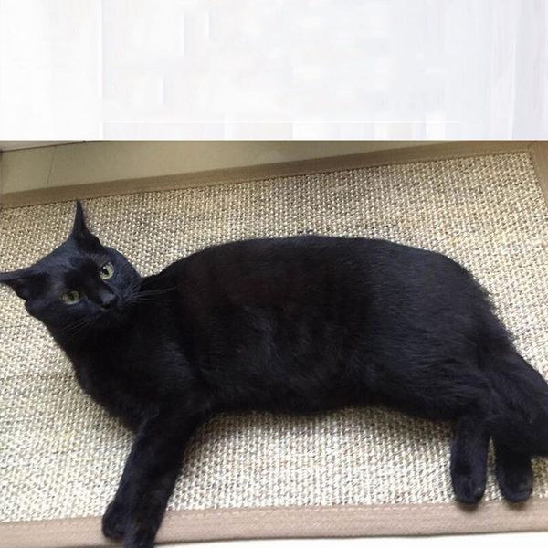 натуральные волокна сизаля прямоугольник doormat закрытый открытый напольный коврик украшения
натуральные волокна сизаля прямоугольник doormat закрытый открытый напольный коврик украшения