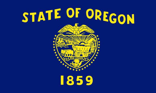 drop shipping american oregon copy state flag 3x5ft usa polyester flag banner white sleeve and two grommets
drop shipping american oregon copy state flag 3x5ft usa polyester flag banner white sleeve and two grommets