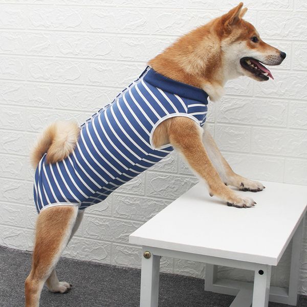 полосатое восстановление собаки костюм без рукавов slim fit summer casual собаки кошки футболка моды зоотовары
полосатое восстановление собаки костюм без рукавов slim fit summer casual собаки кошки футболка моды зоотовары