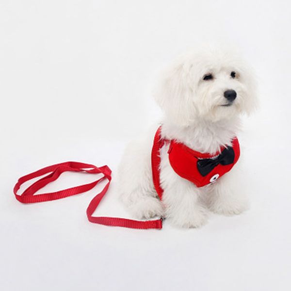 мода pet личность тедди new love mother разные собаки новые pet одежда грудной ремень щенок меховой ремень толстовка тяговая веревка
мода pet личность тедди new love mother разные собаки новые pet одежда грудной ремень щенок меховой ремень толстовка тяговая веревка
