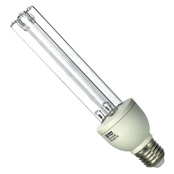 dropshipping ђ бакеѬиидне компакнй лампока амо балла вин Ѭазем e27 110v ввода
dropshipping ђ бакеѬиидне компакнй лампока амо балла вин Ѭазем e27 110v ввода