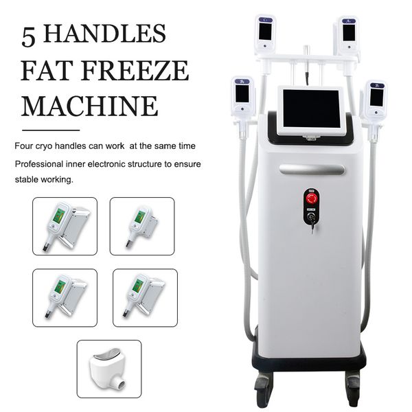 fat ing liposuction machine criolipolise body cool shape vaccum slimming cellulite machine cryo lipolysis fat e
fat ing liposuction machine criolipolise body cool shape vaccum slimming cellulite machine cryo lipolysis fat e