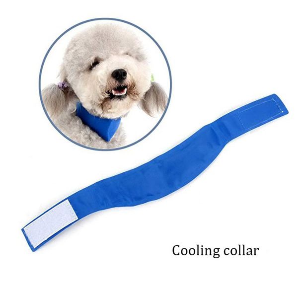 pet cooling collar dog prevention summer sunstroke personality necklace pleasantly cool dog comfortable soft neck strap collars
pet cooling collar dog prevention summer sunstroke personality necklace pleasantly cool dog comfortable soft neck strap collars