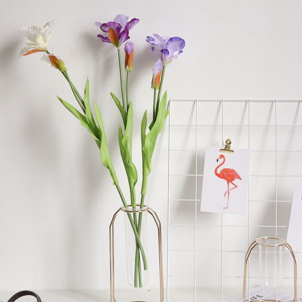 2 heads artificial bauhinia flowers fleurs artificielles for wedding table decor home decoration fake irish iris flowers
2 heads artificial bauhinia flowers fleurs artificielles for wedding table decor home decoration fake irish iris flowers