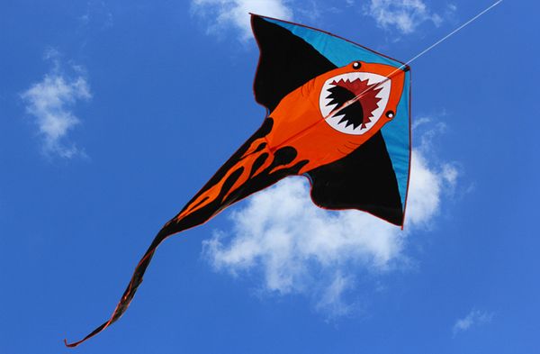 new 2 m power cartoon shark kite / crocodile kite with handle and line factory outlet good flying
new 2 m power cartoon shark kite / crocodile kite with handle and line factory outlet good flying