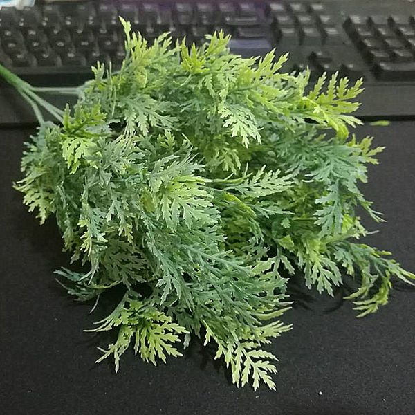 artificial mandarin green leaves pine grass plants home wedding christmas decorative flowers
artificial mandarin green leaves pine grass plants home wedding christmas decorative flowers