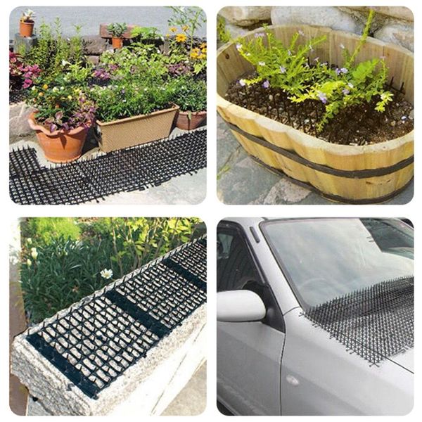 multifunctional gardening plastic anti-cat thorn cat dog mosquito repellent plastic nail cats dogs repellent mat garden supplies other garde
multifunctional gardening plastic anti-cat thorn cat dog mosquito repellent plastic nail cats dogs repellent mat garden supplies other garde