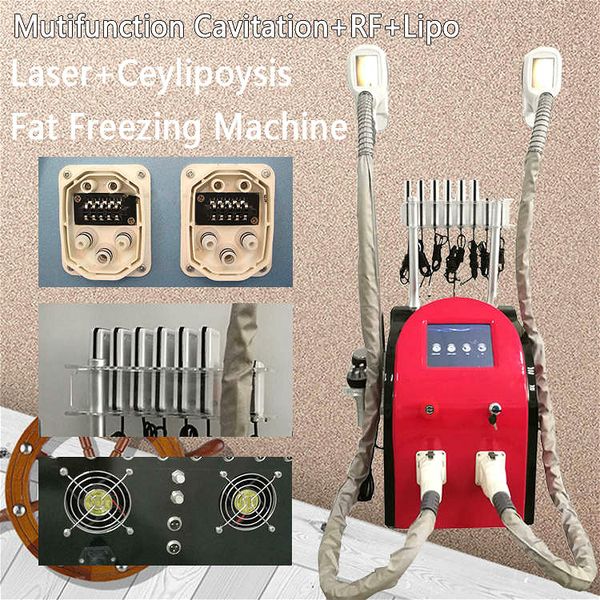 2020 новый стиль тело cryolipolysis машина для похудения ультразвуковой кавитации rf лифтинг лазер lipo уменьшая машину массажа в продажу
2020 новый стиль тело cryolipolysis машина для похудения ультразвуковой кавитации rf лифтинг лазер lipo уменьшая машину массажа в продажу
