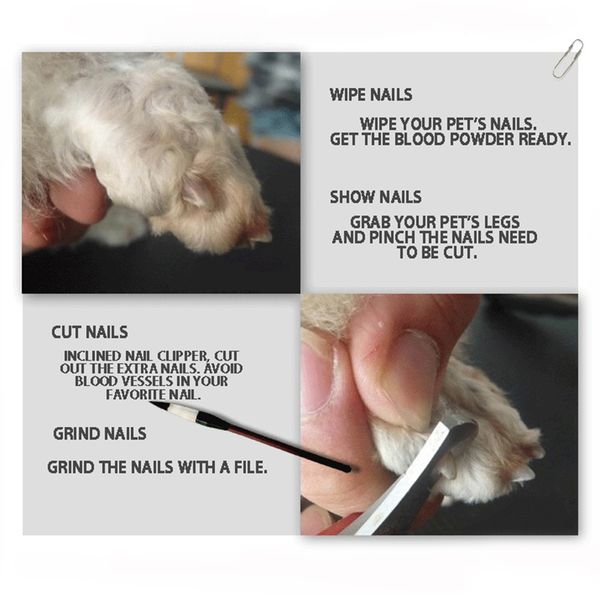 stainless steel pet nail clipper cutter rubber handled animal dog cat grooming scissors toe file trimmer clipper supplies
stainless steel pet nail clipper cutter rubber handled animal dog cat grooming scissors toe file trimmer clipper supplies