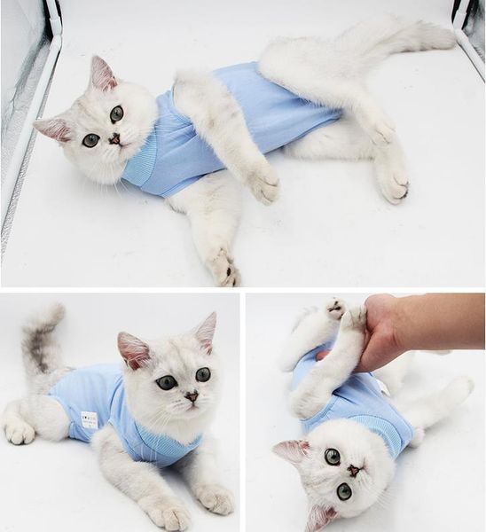 2020 summer cat flexible surgery female cat sterilization weaning pet cat coat anti-licking after surgery protective clothing
2020 summer cat flexible surgery female cat sterilization weaning pet cat coat anti-licking after surgery protective clothing