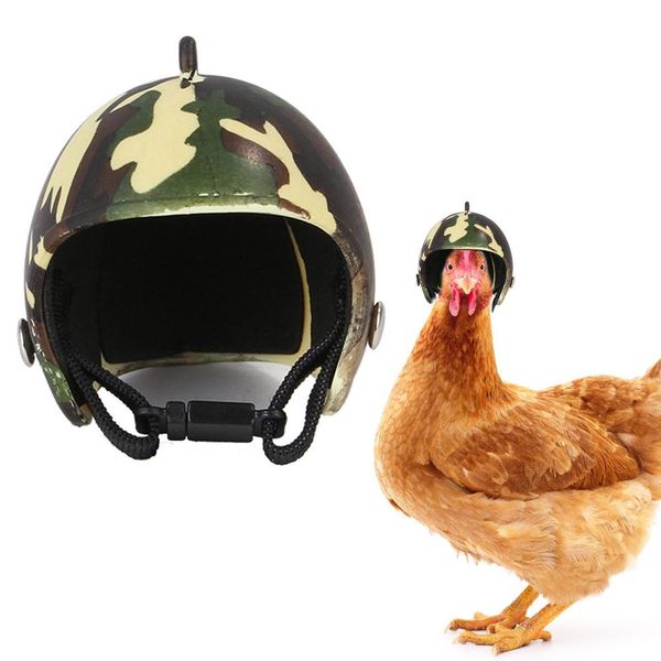 pet helmet funny protective chicken helmet hen hard bird hat headgear for motorcycles p props protect pet accessorie
pet helmet funny protective chicken helmet hen hard bird hat headgear for motorcycles p props protect pet accessorie
