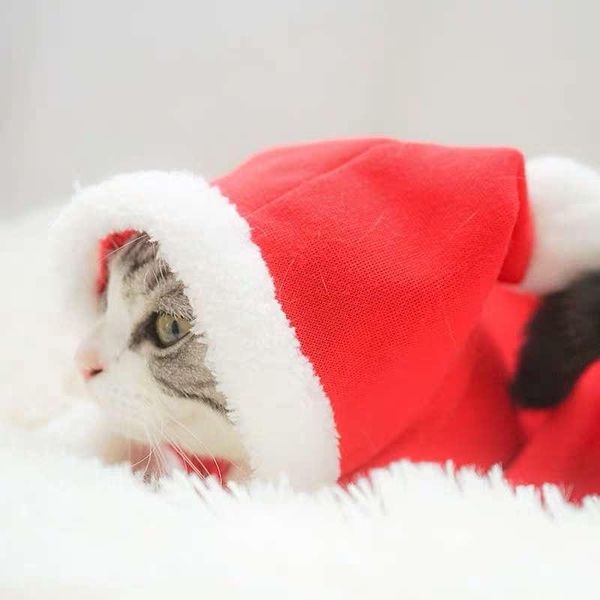 pet cloak hooded christmas dog cat clothes costume for dogs cats pet cosplay santa claus xmas cat king cloak 2019 new arrival
pet cloak hooded christmas dog cat clothes costume for dogs cats pet cosplay santa claus xmas cat king cloak 2019 new arrival