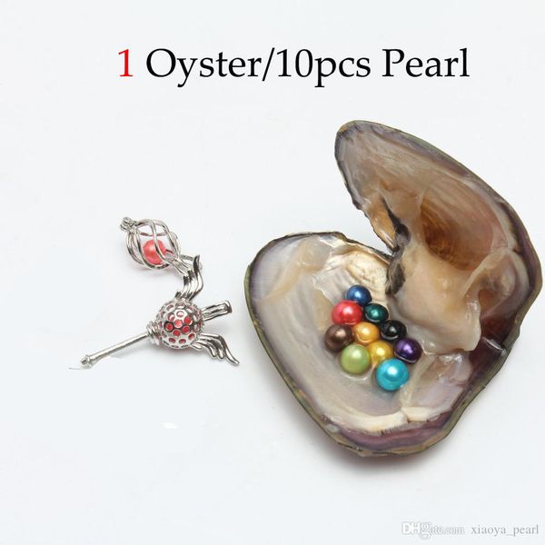 2020 diy 6-7mm freshwater pearl oyster with 10pcs pearl mixed 27 colors circle natural pearl in vacuum package for gift surprise, White
2020 diy 6-7mm freshwater pearl oyster with 10pcs pearl mixed 27 colors circle natural pearl in vacuum package for gift surprise, White