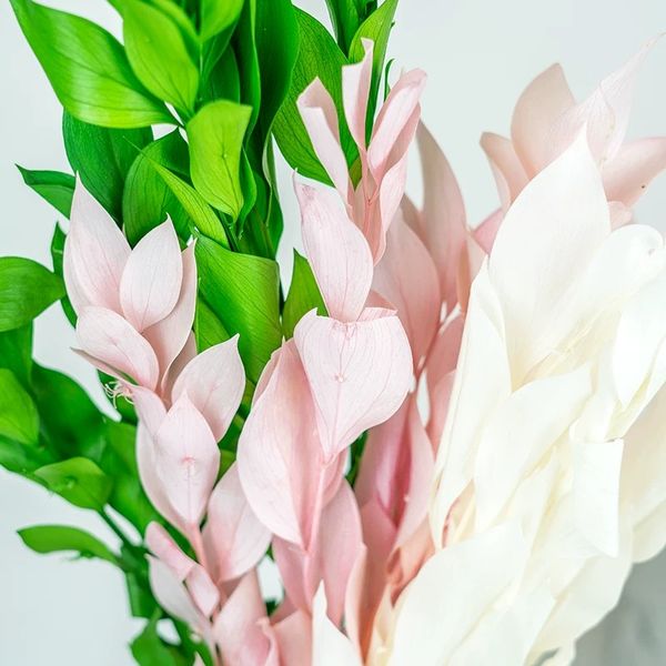 decorative flowers & wreaths preserved nature flower 5pcs/38cm,dried orange leaf for diy wedding marriage wreath road home eternell floral d
decorative flowers & wreaths preserved nature flower 5pcs/38cm,dried orange leaf for diy wedding marriage wreath road home eternell floral d