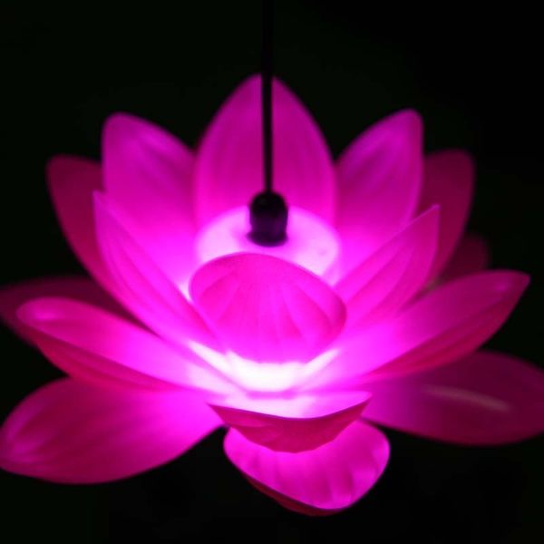 kongming latern field arrangement decoration outdoors waterproof led coloured lights lotus lamp make a wish lamp
kongming latern field arrangement decoration outdoors waterproof led coloured lights lotus lamp make a wish lamp