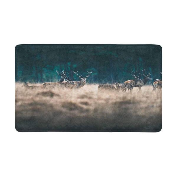 deer indoor doormat non slip front entrance mat rug christmas decorations for home kitchen rugs kitchen rugs washable tatami
deer indoor doormat non slip front entrance mat rug christmas decorations for home kitchen rugs kitchen rugs washable tatami
