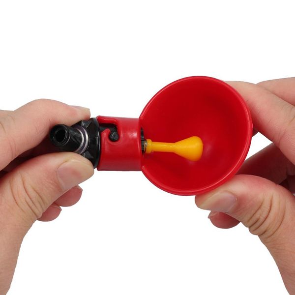 5/10 sets pigeon drinker special chicken autodrinker chickens drinking fountains drinking bowl bowl to drink chicken quail
5/10 sets pigeon drinker special chicken autodrinker chickens drinking fountains drinking bowl bowl to drink chicken quail