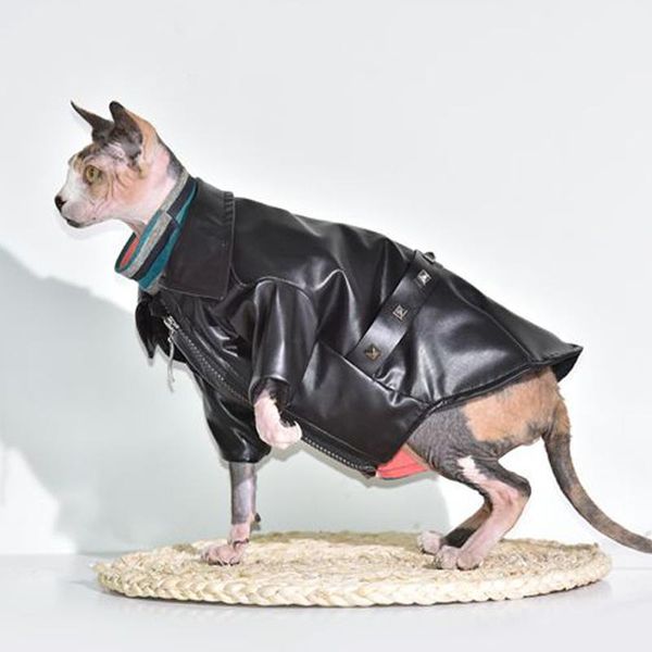 sphinx безволосой костюмы кошки одежда зима теплая кожаная куртка пальто животное одежда новый инвентарь cat cat принадлежности для питомцев
sphinx безволосой костюмы кошки одежда зима теплая кожаная куртка пальто животное одежда новый инвентарь cat cat принадлежности для питомцев