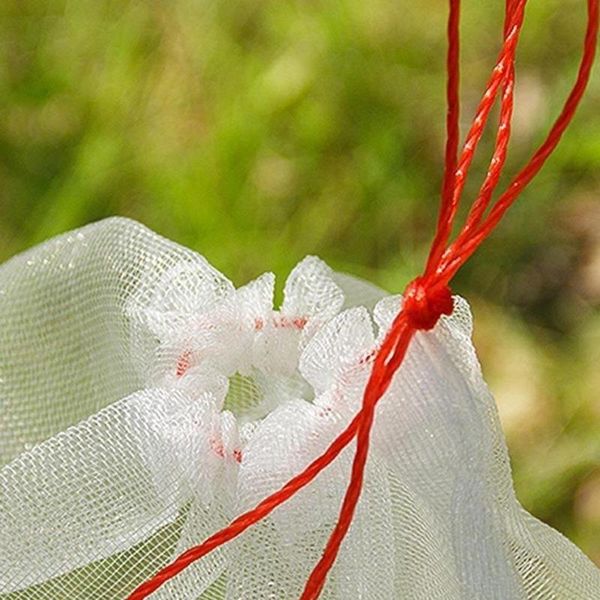 garden vegetable grapes apples fruit protection bag control mesh agricultural tool pest insect pouch pest anti-bird against t6q3
garden vegetable grapes apples fruit protection bag control mesh agricultural tool pest insect pouch pest anti-bird against t6q3