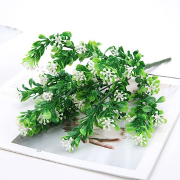 5pcs artificial 32cm milan grass plastic flower artificial plants greenery grass home decoration fake plants
5pcs artificial 32cm milan grass plastic flower artificial plants greenery grass home decoration fake plants
