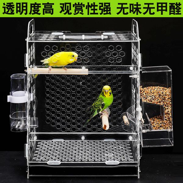 adorable pet breeding tiger skin peony cloud leiothrix small-sized second gram force parrot cage you
adorable pet breeding tiger skin peony cloud leiothrix small-sized second gram force parrot cage you
