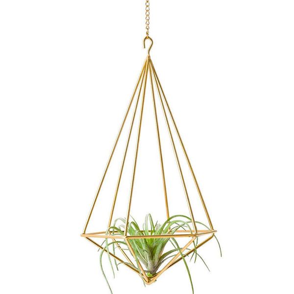 hanging air plant holder modern geometric planter with chain tillandsia container himmeli wall decor, gold
hanging air plant holder modern geometric planter with chain tillandsia container himmeli wall decor, gold