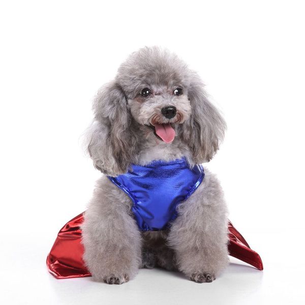 летние каникулы pet ткань puppy super girl костюм фестиваль партии собака костюм pet cute косплей костюм юбка щенок одежды
летние каникулы pet ткань puppy super girl костюм фестиваль партии собака костюм pet cute косплей костюм юбка щенок одежды