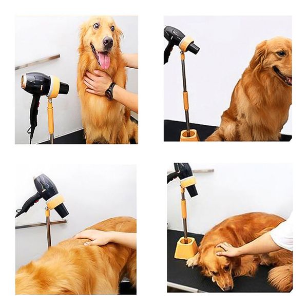 нержавеющая сталь инструмент pet осушитель holder кошки поддержка собаки уход одежда для волос напольного монтажа stand 180 угол вращающийся
нержавеющая сталь инструмент pet осушитель holder кошки поддержка собаки уход одежда для волос напольного монтажа stand 180 угол вращающийся