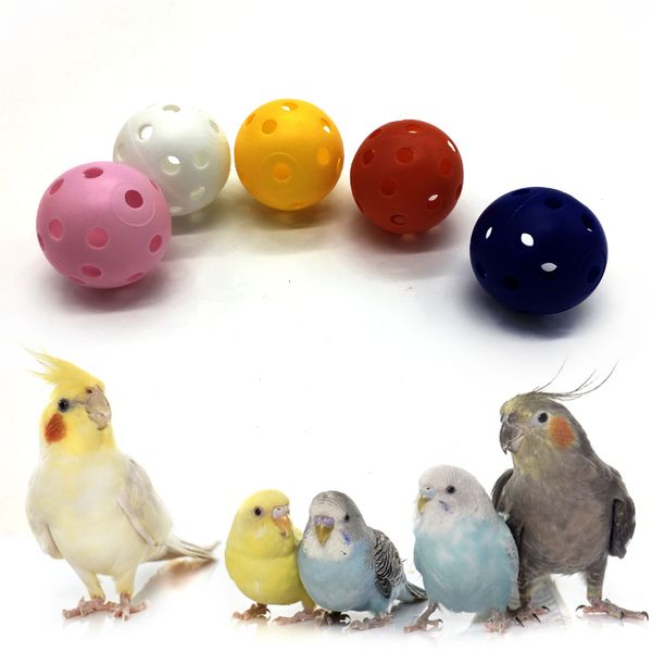 pets parrot at foot of hollow out the ball hamster squirrel gnaw deskmutual action toys
pets parrot at foot of hollow out the ball hamster squirrel gnaw deskmutual action toys