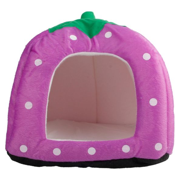 мгкий лопок милй клђбники ил многоелевой домание живоне обаки коки д
мгкий лопок милй клђбники ил многоелевой домание живоне обаки коки д