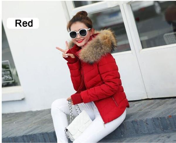 2019 autumn winter jacket women parkas for coat casual female down jacket with a hood large faux fur collar coat, Black
2019 autumn winter jacket women parkas for coat casual female down jacket with a hood large faux fur collar coat, Black