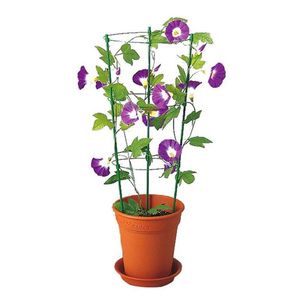 45cm/60cm climbing vine rack plant potted support frame plastic coated steel flower vegetables decorative trellis bracket 1pc
45cm/60cm climbing vine rack plant potted support frame plastic coated steel flower vegetables decorative trellis bracket 1pc