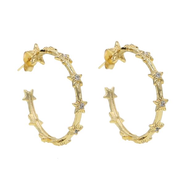 gold filled cz star circle hoop earring for women lady classic trendy jewelry wholesale, Golden;silver
gold filled cz star circle hoop earring for women lady classic trendy jewelry wholesale, Golden;silver