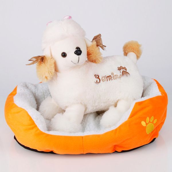 лопок pet еплй waterloo pad оѬанжевй s ѬазмеѬ 
лопок pet еплй waterloo pad оѬанжевй s ѬазмеѬ