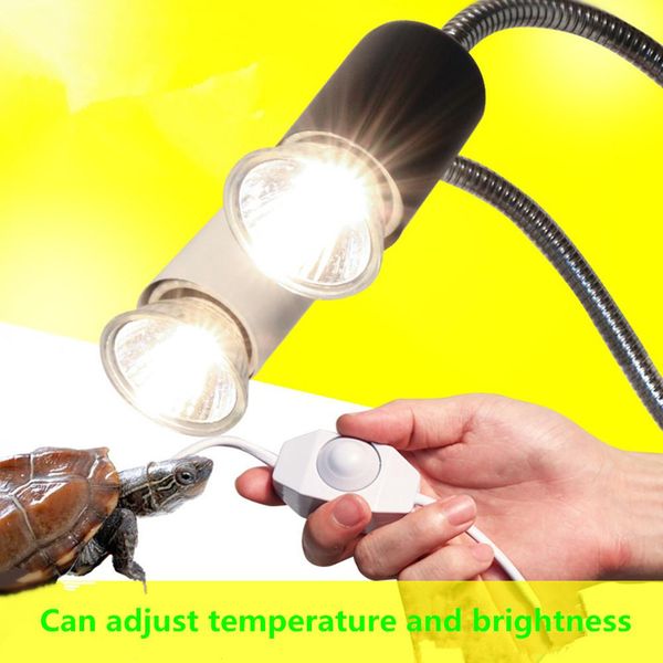 220 абажур температура управляемая light стенд держатель для аквариума амфибии рептилии черепахи плоский штекер
220 абажур температура управляемая light стенд держатель для аквариума амфибии рептилии черепахи плоский штекер