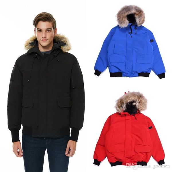 luxury mens deisgner goose down winter jacket fashion men women high qulaity winter coats parkas mens hooded outerwear 5 colors s-2xl, Black
luxury mens deisgner goose down winter jacket fashion men women high qulaity winter coats parkas mens hooded outerwear 5 colors s-2xl, Black