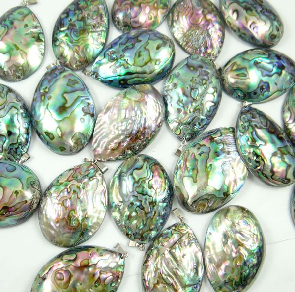 fashion design natural abalone shell charms pendant necklace for women jewelry making jewelry diy findings 1pc, Silver
fashion design natural abalone shell charms pendant necklace for women jewelry making jewelry diy findings 1pc, Silver