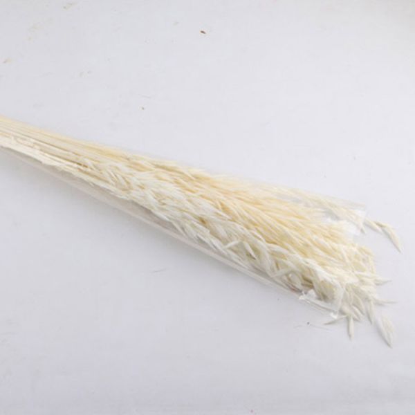 50 pcs wedding anniversary dried flower diy natural pgraphy prop party eco friendly valentine's day garden home decoration
50 pcs wedding anniversary dried flower diy natural pgraphy prop party eco friendly valentine's day garden home decoration