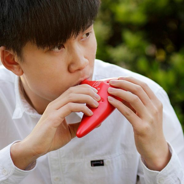 12 hole alto c ocarina vessel flute abs material sweet potato shape with 2 protective bags musical gift for beginners
12 hole alto c ocarina vessel flute abs material sweet potato shape with 2 protective bags musical gift for beginners