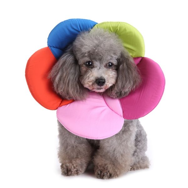 recovery pet cone e-collar for cats dogs flower elizabeth soft dacron sponge filling protective collar pack
recovery pet cone e-collar for cats dogs flower elizabeth soft dacron sponge filling protective collar pack