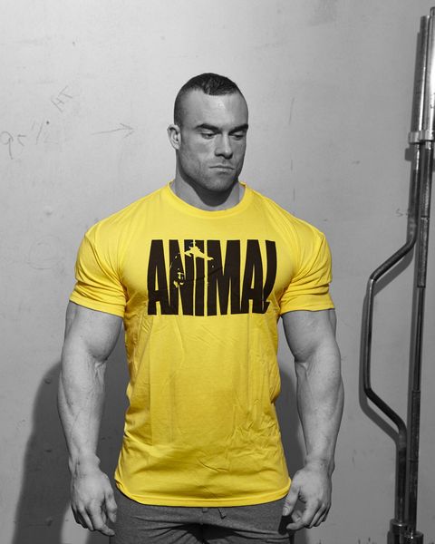 animal letters print tracksuit t shirt muscle shirt trends in fitness cotton clothes for men bodybuilding tee large xxl, White;black 
animal letters print tracksuit t shirt muscle shirt trends in fitness cotton clothes for men bodybuilding tee large xxl, White;black