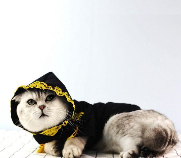 pet dog clothes windbreaker jacket hoodie print the dog face coat autumn winter north apparel fashion brand sweater vest clothes
pet dog clothes windbreaker jacket hoodie print the dog face coat autumn winter north apparel fashion brand sweater vest clothes