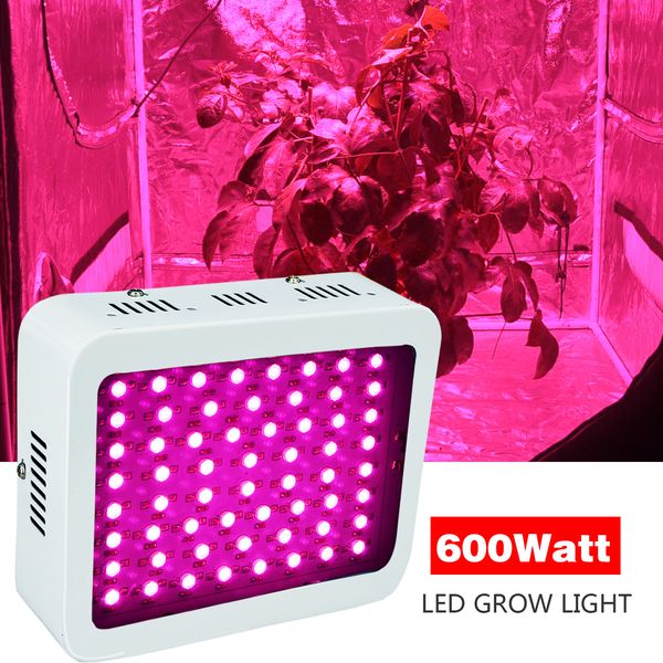 led grow light 600w 1000w 1500w 2000w high cost-effective double chips full spectrum uniform color for whole growth circle hydroponic
led grow light 600w 1000w 1500w 2000w high cost-effective double chips full spectrum uniform color for whole growth circle hydroponic