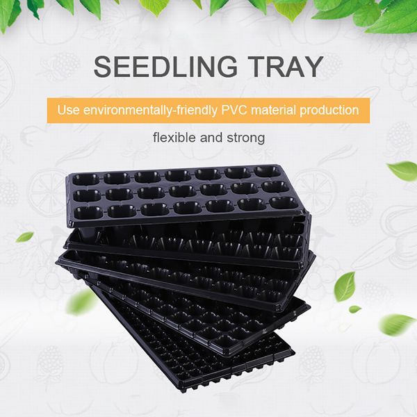 2pcs 200 holes plastic seedling starter tray plant growing trays garden seed starter grow trays plug planting planter container
2pcs 200 holes plastic seedling starter tray plant growing trays garden seed starter grow trays plug planting planter container